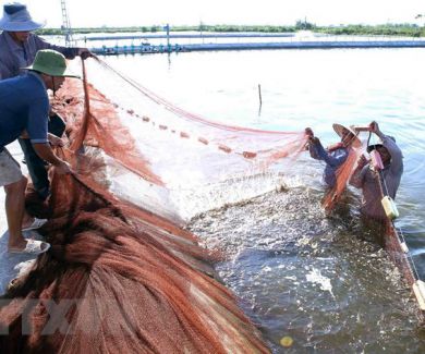 Giao Thủy – huyện thứ 50 đạt chuẩn huyện nông thôn mới