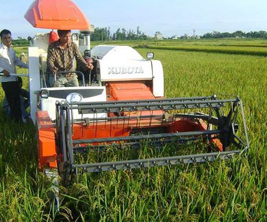 Nam Định: Người dân tăng thu nhập, đời sống được cải thiện nhờ nông thôn mới